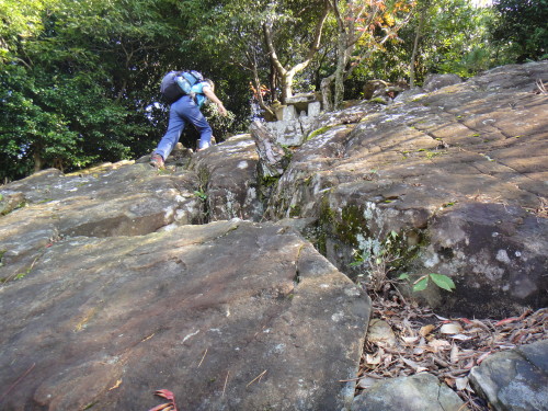 c0179351_21374469.jpg