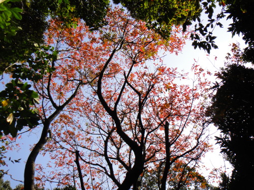 c0179351_21392448.jpg