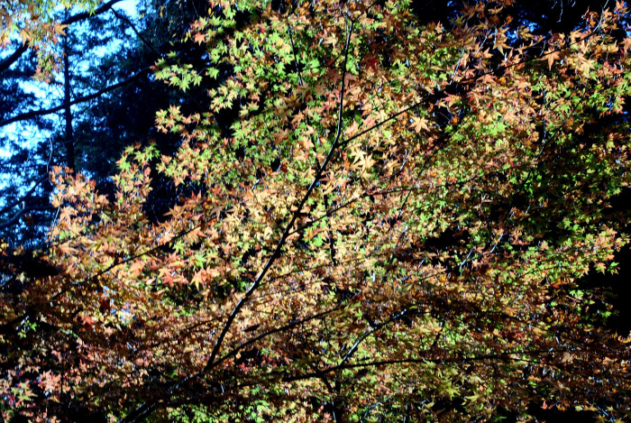 f0209256_2343068.jpg