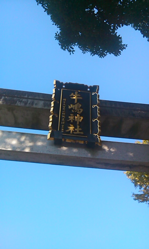 d0158464_20422790.jpg