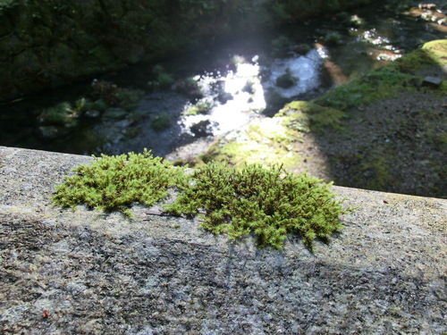 c0171468_23461938.jpg