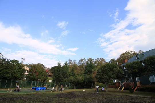 e0062371_11214255.jpg