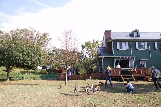 e0062371_11235647.jpg