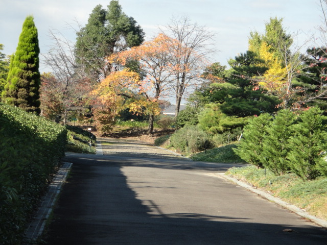 f0137275_445141.jpg