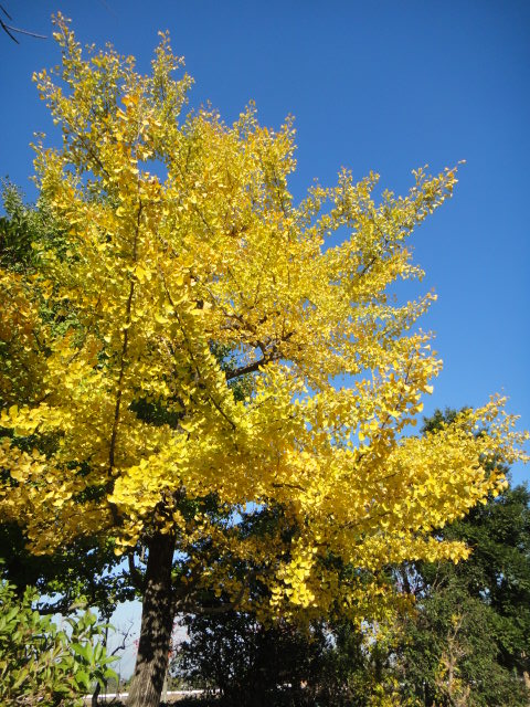 f0137275_446136.jpg