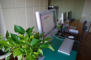 f0054677_881242.jpg