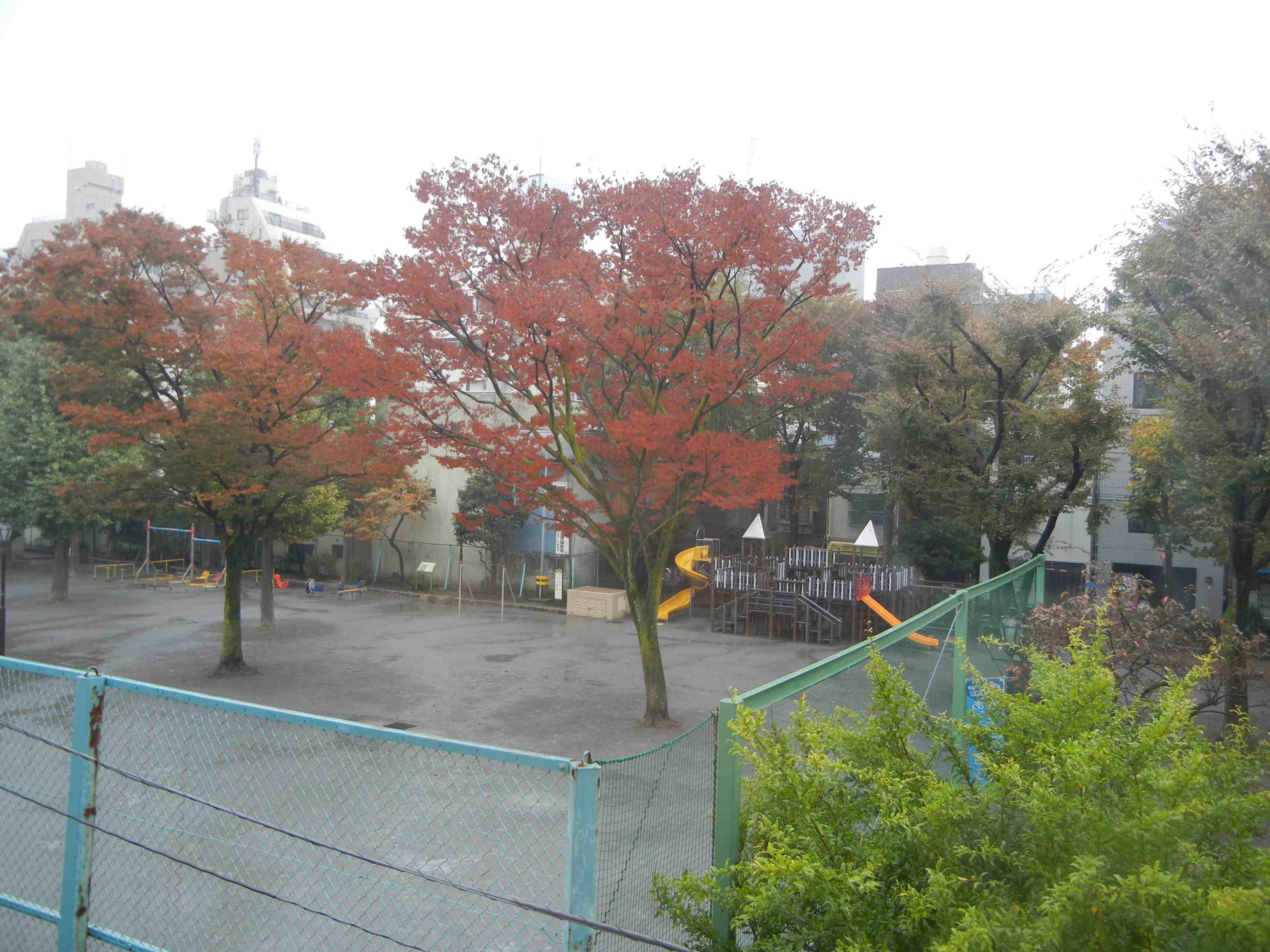 f0200178_7284179.jpg