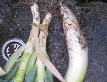 f0003283_2092120.jpg