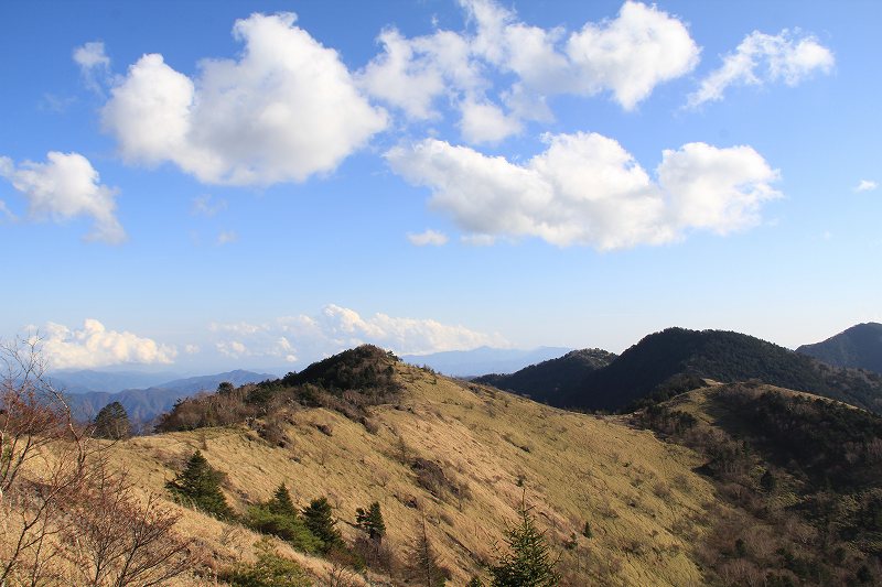 a0188405_21593783.jpg