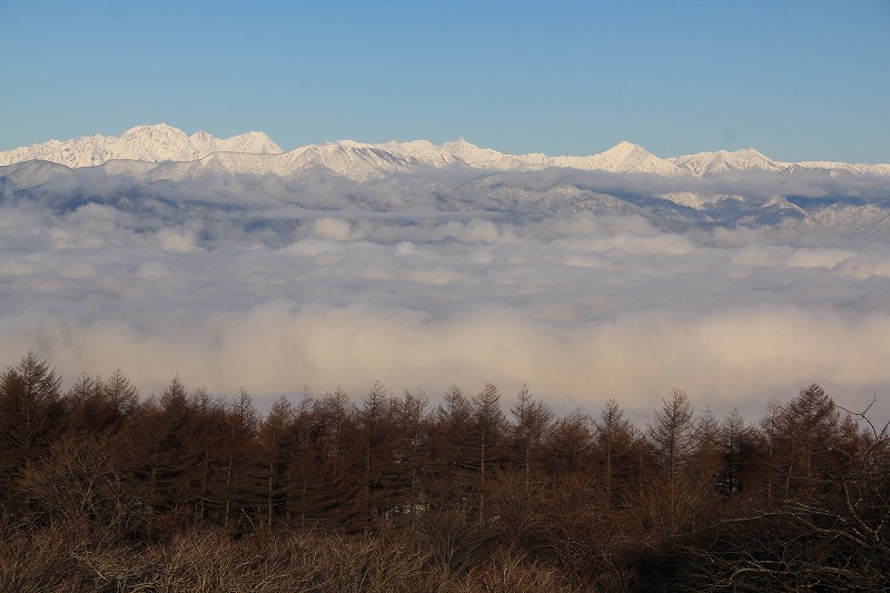 a0188405_2336271.jpg