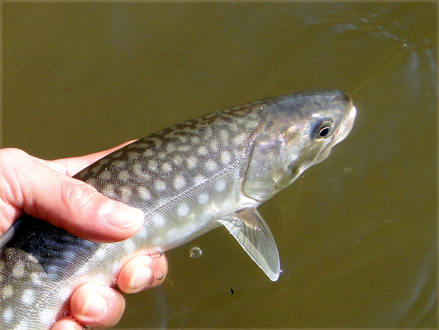 d0051707_22573890.jpg
