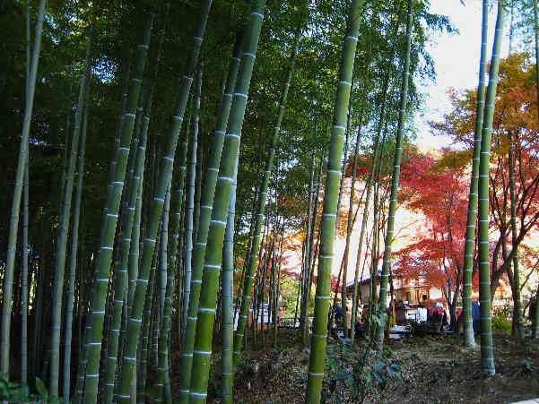 d0154609_10422258.jpg