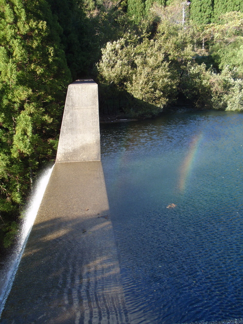 b0176111_23113913.jpg