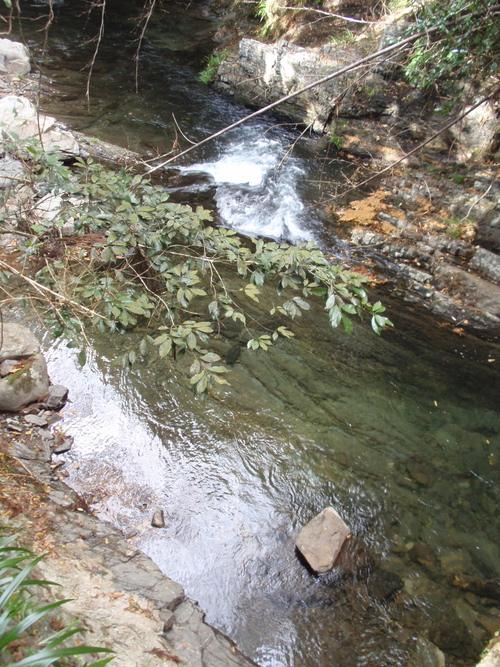 b0176111_2331636.jpg