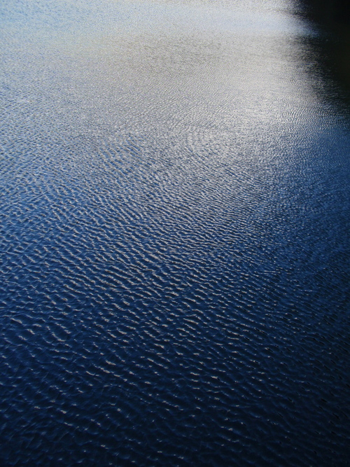 b0176111_239097.jpg