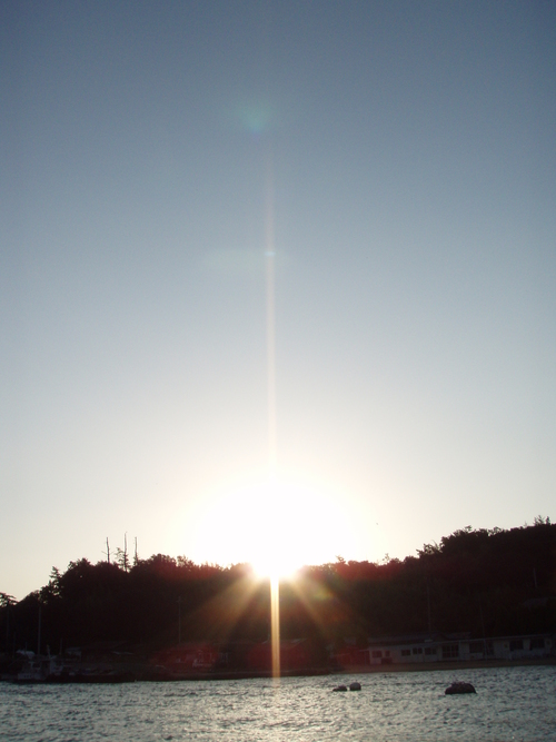 b0121015_2012265.jpg