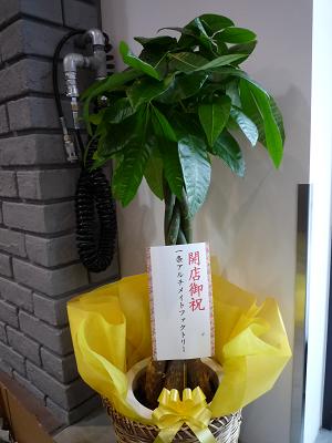 f0111015_17242484.jpg