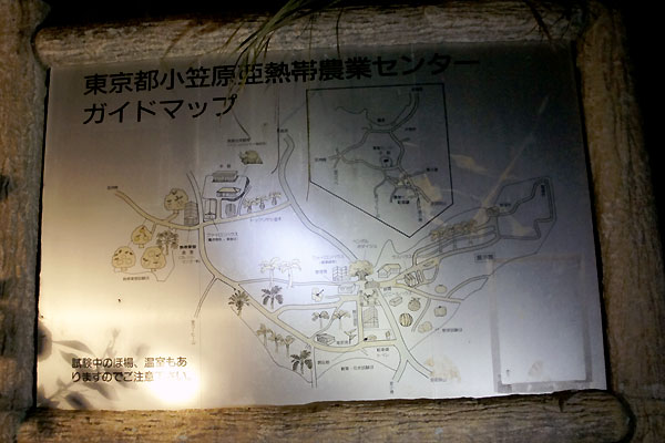 b0044726_2055444.jpg
