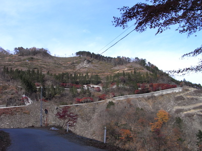 d0211129_1114524.jpg