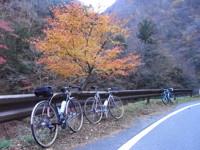 d0211129_11372743.jpg