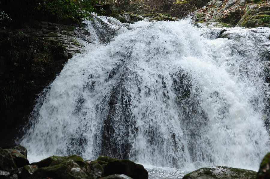 b0230131_11163260.jpg