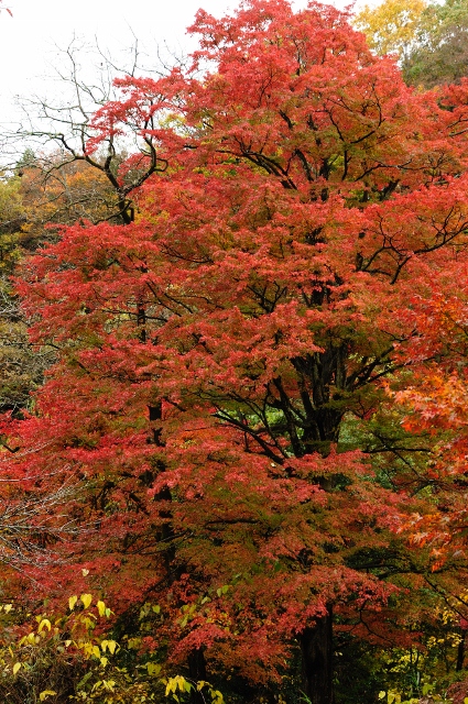 b0230131_11283143.jpg