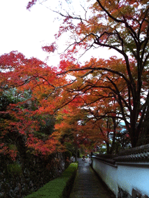 d0048332_9505559.gif