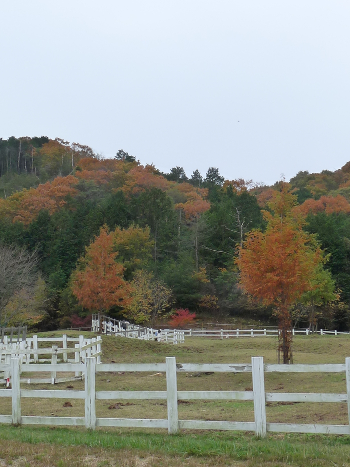 c0100534_7541271.jpg