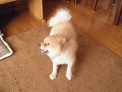 c0141335_23571361.jpg