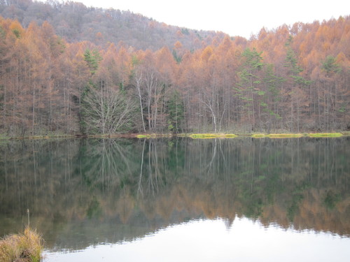 b0178339_14134671.jpg