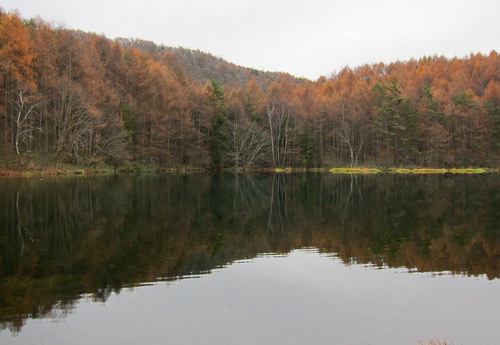 b0178339_14242625.jpg