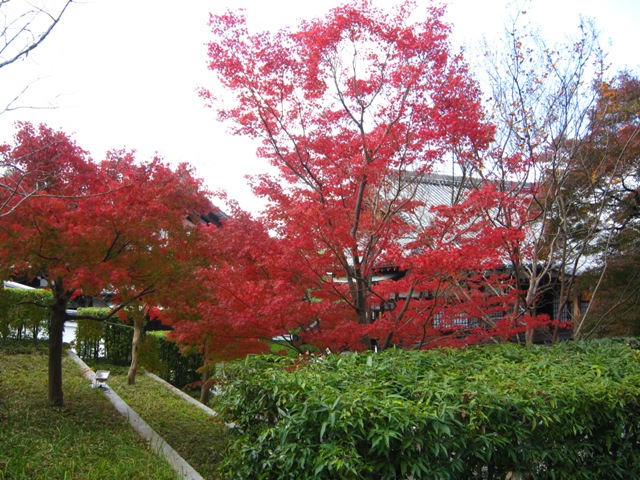 e0198839_21273670.jpg