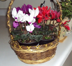 a0204348_859441.jpg