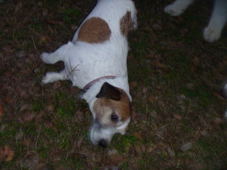e0121548_205015.jpg