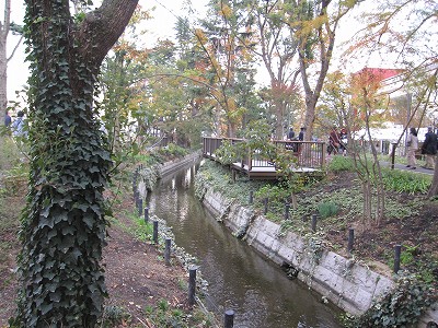 d0031853_2515963.jpg