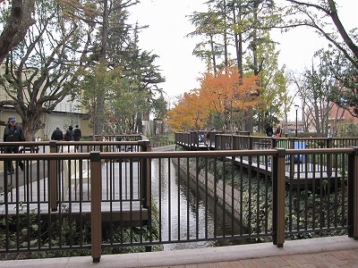 d0031853_2522731.jpg