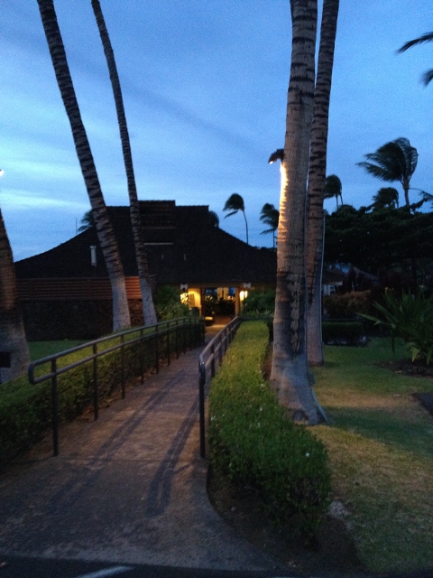 e0033156_3573954.jpg