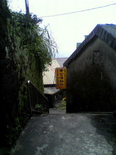 b0032167_16365724.jpg