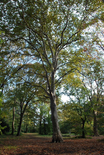 b0174068_2357205.jpg