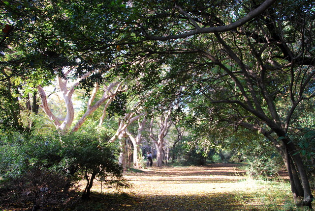 b0174068_23575328.jpg