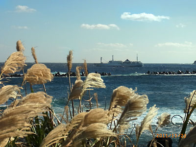 e0097770_103825.jpg