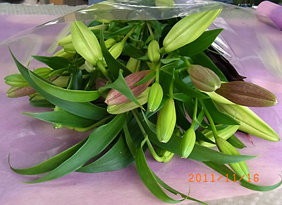 e0097770_141631.jpg