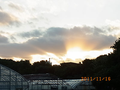 e0097770_823491.jpg