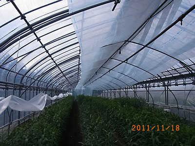 e0097770_922255.jpg