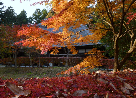 a0223677_23312077.jpg