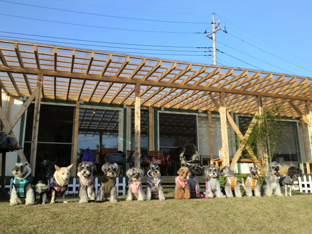f0155381_20114741.jpg