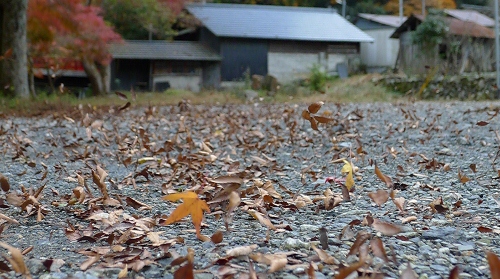 b0226089_20442229.jpg
