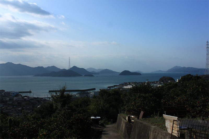 d0217090_2245545.jpg