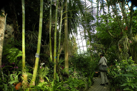 c0190594_1540242.jpg