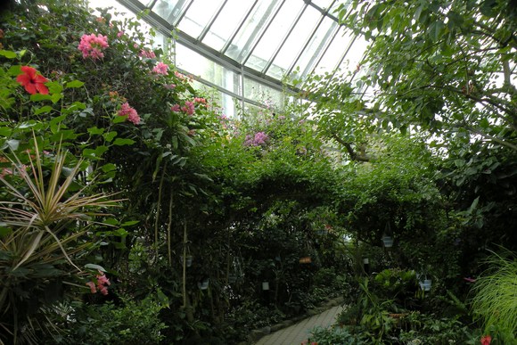 c0190594_15451141.jpg